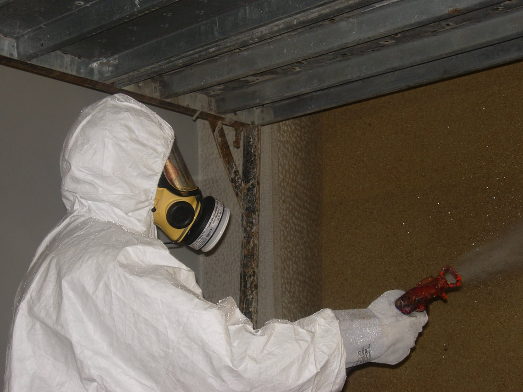 Asbestos Removal, ASBESTOS MANAGEMENT SPECIALISTS